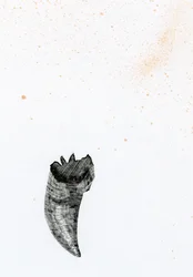 Dente {Fay-erie Dust}, 2014 (gravura em madeira e tinta sobre papel)